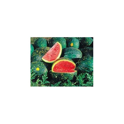 Moon and Stars Watermelon Fruit Seeds for Planting [neera-v5-5dd615a7b0969c2c665c]