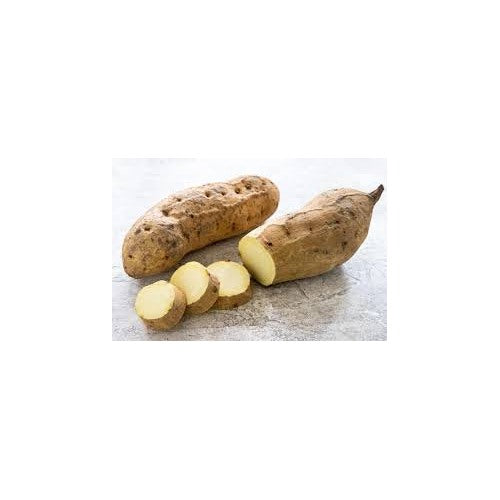 Brown White Sweet Potato Seeds for Planting [neera-v5-5e13e32293370386c52a]