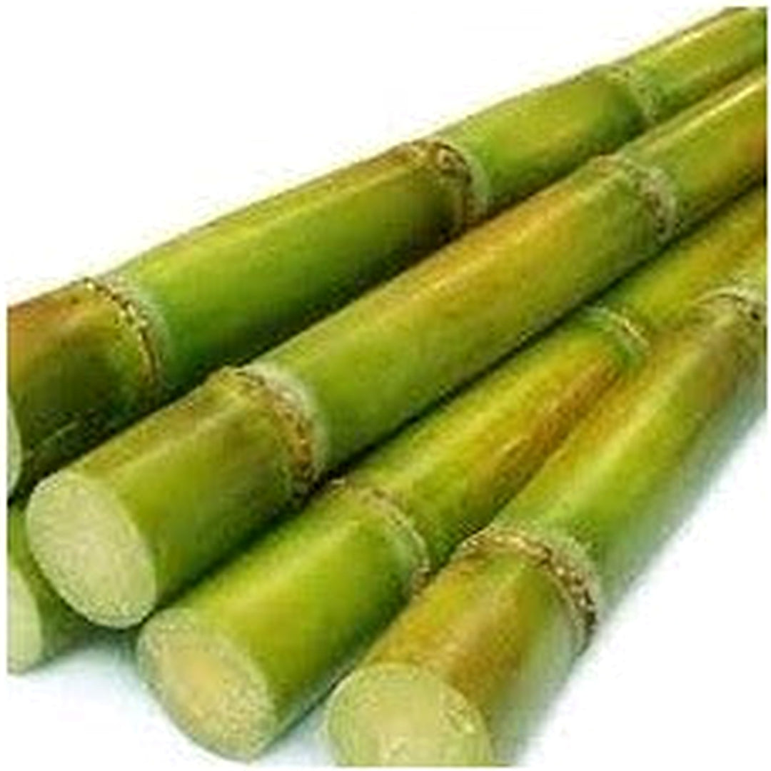 Sugarcane Fruit Seeds for Planting [neera-v5-5ec5eedf07f354d20adf]