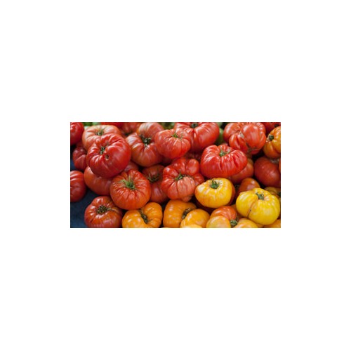 Heirloom Non-GMO Tomato Vegetable Seeds for Home Garden Planting [neera-v5-5ef553c6b794473c446d]