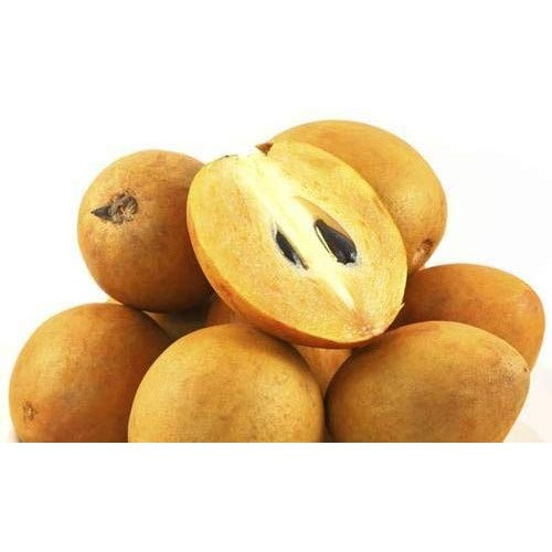 Sapodilla Chikoo Fruit Seeds for Garden Planting | Non-GMO, Tropical Fruit Variety [neera-v5-602cc67fa92d5dc15d8f]