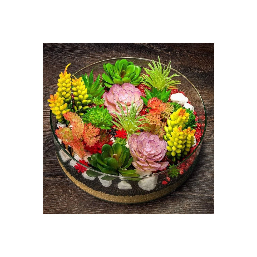 Living Stone Sempervivum Plant For Planting Mixed Flower Seeds for Home Garden Planting, Vibrant [neera-v5-60ed63edeb38d883d054]