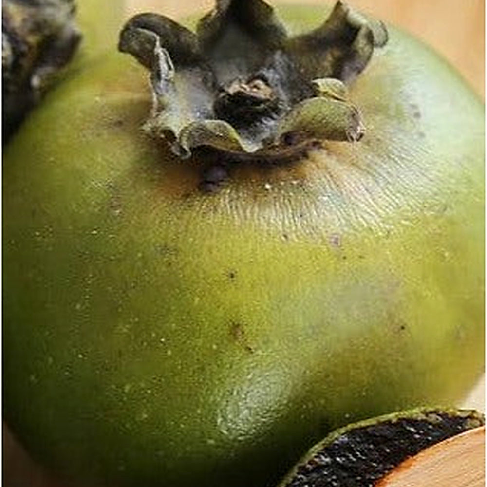 Black Sapote Fruit Seeds for Planting [neera-v5-614d6d1d4d4be53dd8cb]