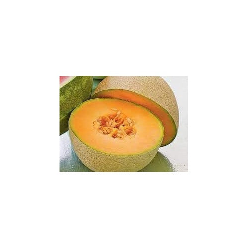 Musk Melon Fruit Seed Set | Non-GMO Seeds for Sweet, Refreshing Melons [neera-v5-6193f6e9ddbf88ce54de]