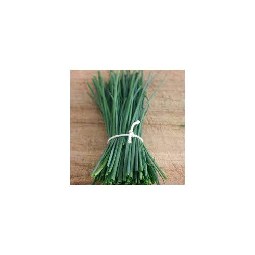 Chives Common Seeds for Planting [neera-v5-61b091a6006a4dc9cb4f]