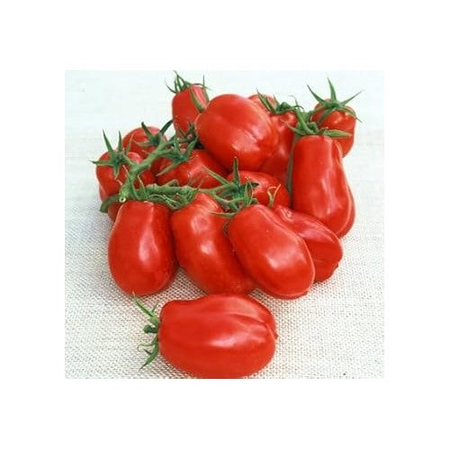 Red Marzano Tomato Seeds for Planting [neera-v5-61ebfc95e59fb7f2f7a3]