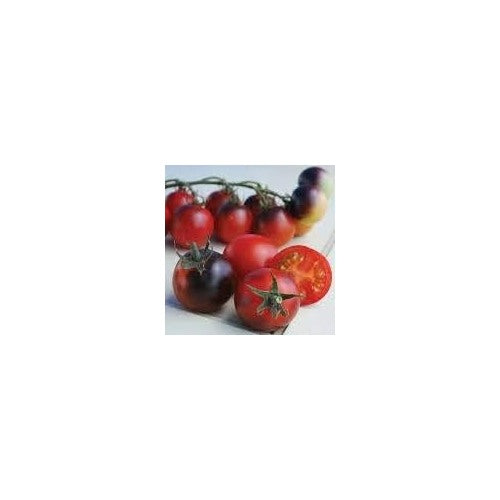 Red Black Tomato Seeds for Planting [neera-v5-61f12b1fc84fdf07cbfc]