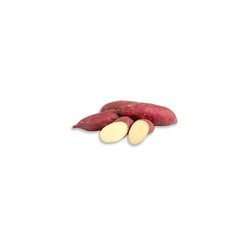 Heirloom Murasaki Sweet Potato Vegetable Seeds [neera-v5-62426156922a59cbef46]