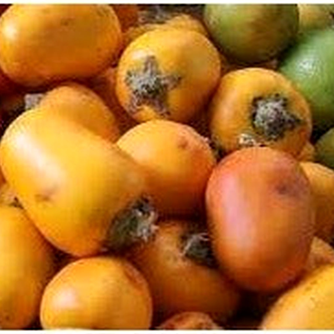 Sessiliflorum Fruit Seed Pack for Planting | Heirloom Non-GMO Organic Garden Seeds [neera-v5-629a451e31f03d95f6b7]