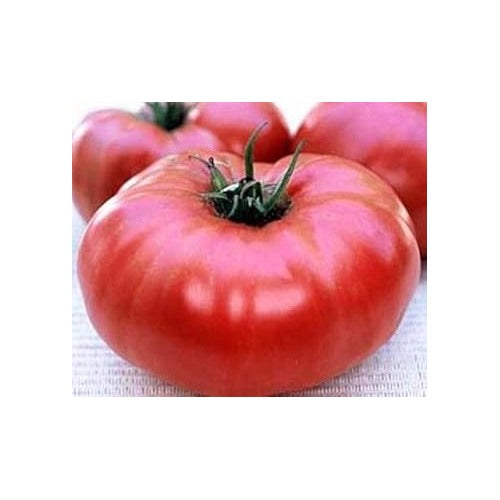 Pink Tomato Seeds for Planting [neera-v5-62b9b5e170d33ecd9e45]