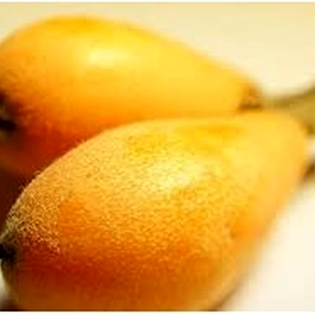 Tanaka Loquat Tree Seeds for Planting [neera-v5-62e8cbcb5f26745ff5b8]