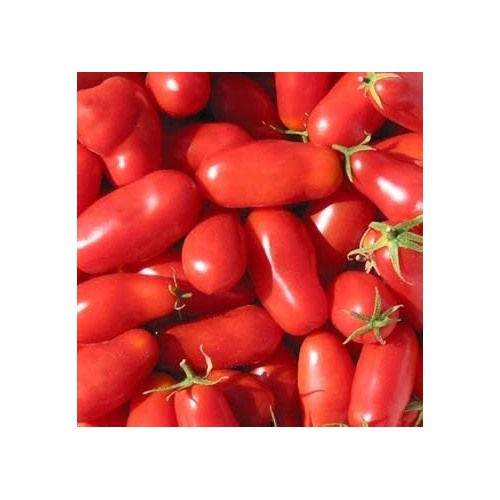Heirloom Red Tomato Seeds for Planting [neera-v5-63a293f8c2431844aabc]