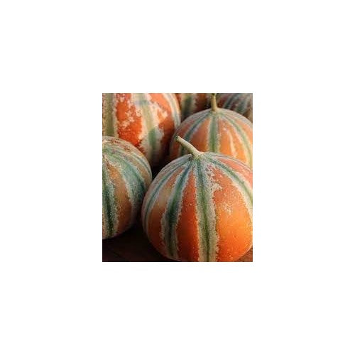 Kajari Melon Seeds [neera-v5-63a44f88594be2cfa432]
