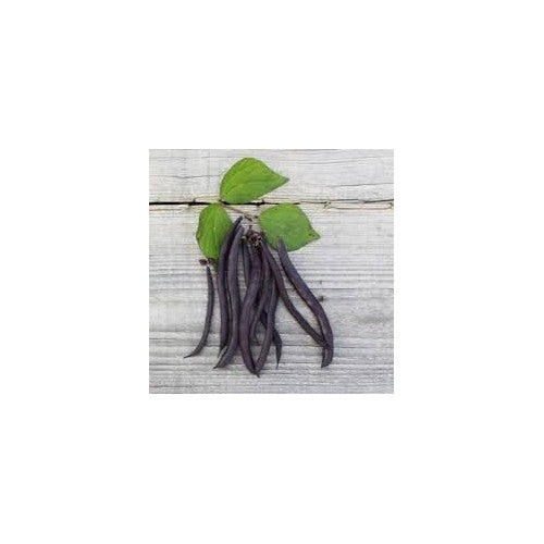 Cowpea Vegetable Seeds for Planting [neera-v5-63bdfd9e967eee25ab1e]