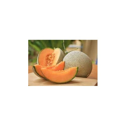 Melon Fruit Seeds for Planting | Heirloom Non-GMO Organic Seeds for Juicy, Flavorful Garden Melons [neera-v5-63f8ebfeb80a55093eb9]