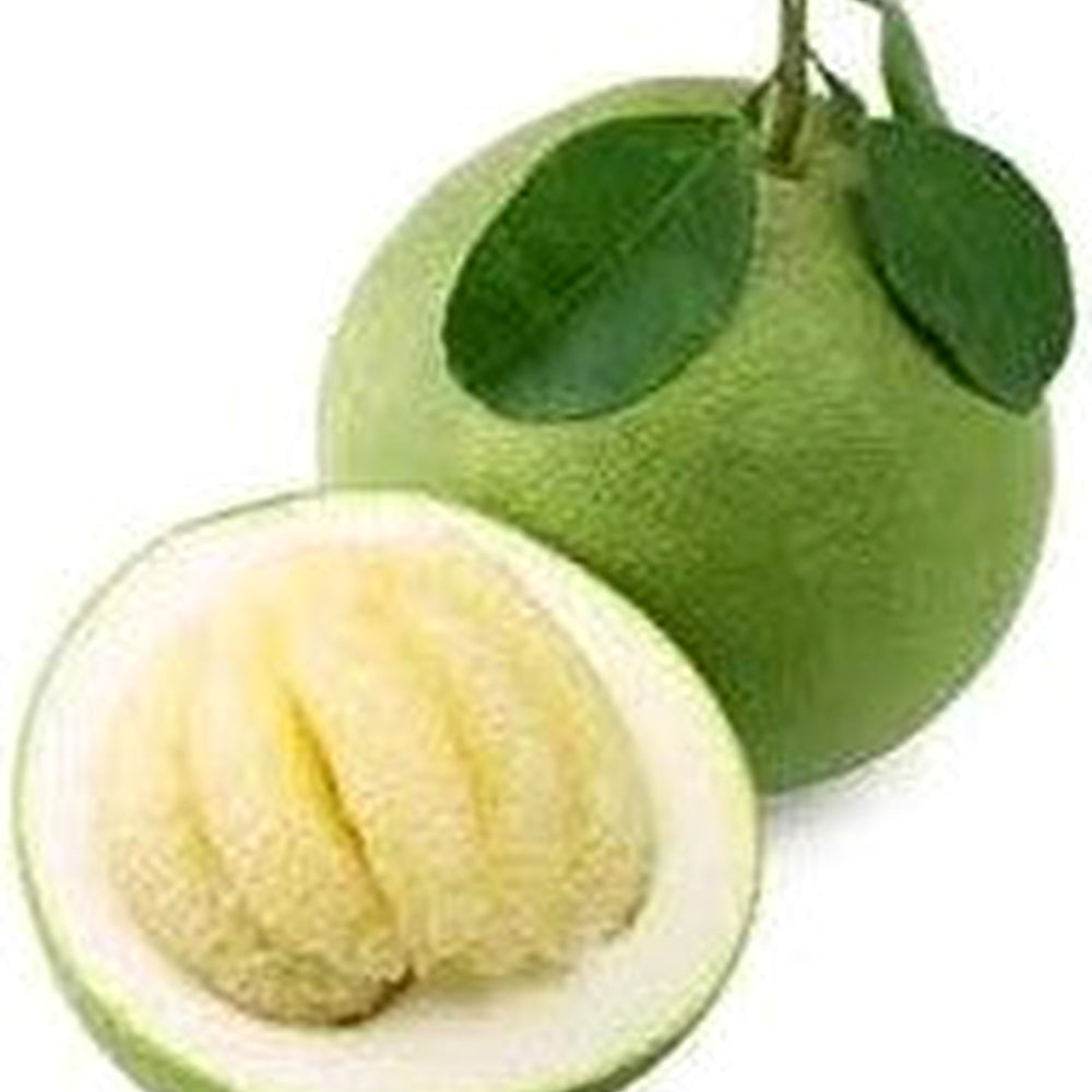 Nam Roi (Vietnamese White Pomelo) Fruit Seeds for Planting [neera-v5-649928d1983b01fdabbc]
