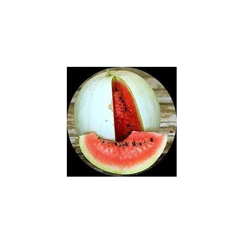 Rare Watermelon “Snow White” Fruit Seeds for Planting [neera-v5-64a2e2dba0c0d0b32e40]