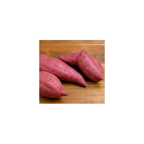 Sweet Potato Seeds for Vegetable Planting [neera-v5-6561fd52d1c463211e05]