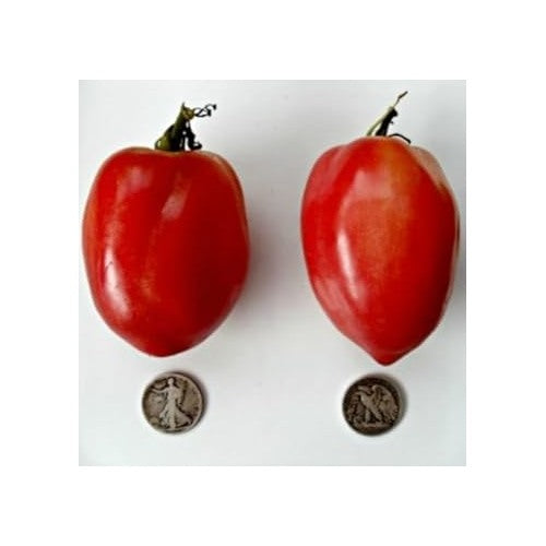 Heirloom Red Tomato Seeds for Planting [neera-v5-65786dcf4c79819c4d87]