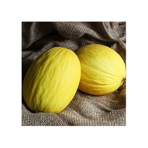 Mulberry Tree Seeds for Planting | Heirloom Non-GMO Organic Seeds for Sweet, Nutritious Orchard Fruits [neera-v5-65d5b9e2566a6a361309]