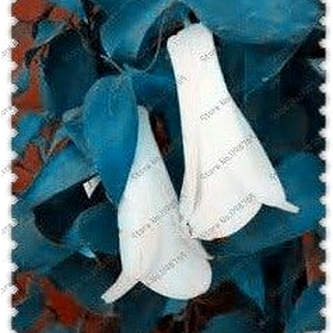 Organic White Lapageria Flower Seeds for Planting [neera-v5-65e0b3df26181b78b6d7]
