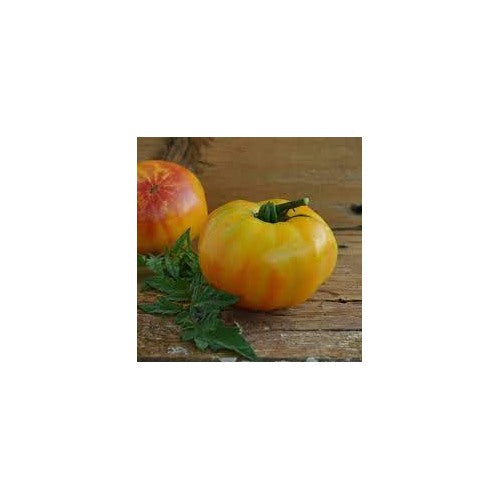 Gold Tomato Seeds for Planting [neera-v5-660f770792ce8cf7034d]