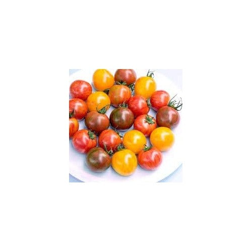 Heirloom Mixed Cherry Tomato Seeds for Planting [neera-v5-67d9d172e9420469b40c]
