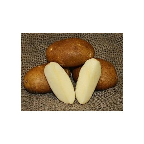 Brown Potatoes Vegetable Seeds for Planting [neera-v5-67e5607330ebef242a25]