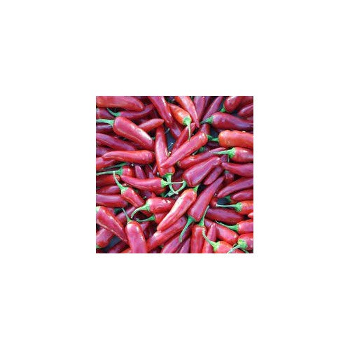 Rawit Chili Seeds for Planting [neera-v5-67f2cd2edb6025db5e6d]