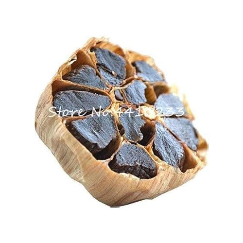 Black Garlic Herb Seeds for Planting [neera-v5-68503f6aaa3fbbb47d4a]