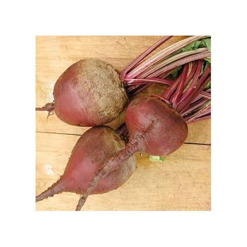 Pink Beetroot Seeds for Planting [neera-v5-68dce25eeedb90c7745a]