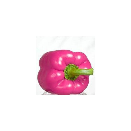 Pink Pepper Seeds for Planting [neera-v5-68ed0bf979a836fd6247]