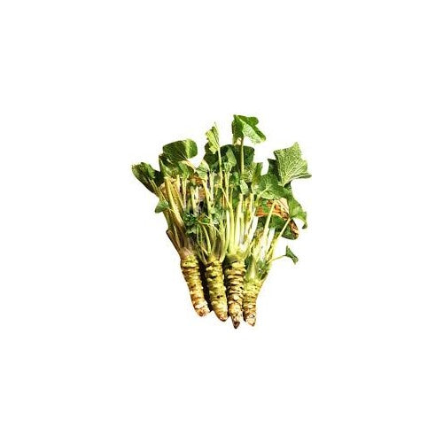 Horseradish Herb Seeds [neera-v5-6b0d80a6d49767f46453]