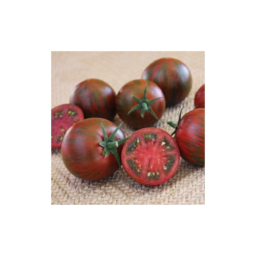 Heirloom Non-GMO Purple Red Tomato Seeds [neera-v5-6b126284ac59b2d50451]