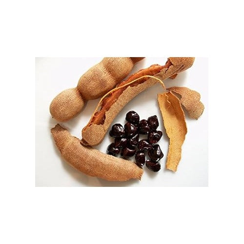 Brown Tamarind Vegetable Seeds for Planting [neera-v5-6b12f85059f053246a3b]