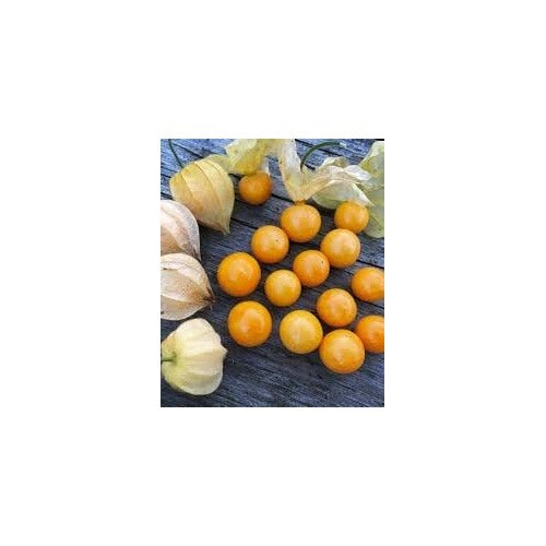 Tomatillo Vegetable Seeds for Planting [neera-v5-6b49098c6db6f3a2608b]