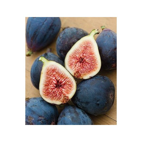 Black Mission Fig Seeds for Planting [neera-v5-6b98489d74ac978d680f]