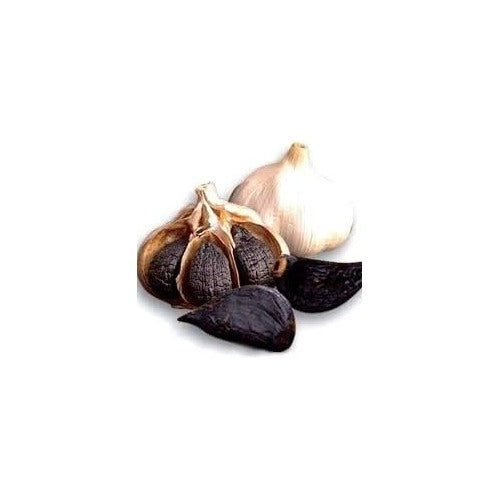 Dark Blue Garlic Seeds for Planting [neera-v5-6b9c7e82c91c8c0c901d]
