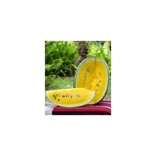 Yellow Watermelon Fruit Seeds for Planting [neera-v5-6c10adc7bc46ac4547ce]