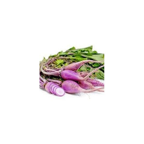 Radish Vegetable Seeds for Planting | Heirloom, Non-GMO, High Germination Organic Garden Seeds [neera-v5-6d753ce383ce90e9a24a]