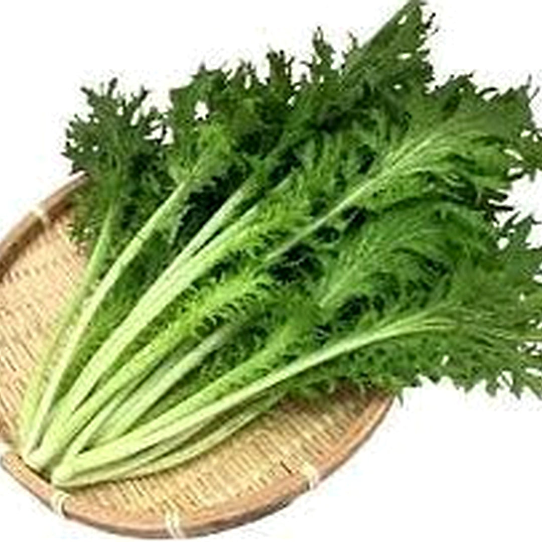 Wasabina Mustard Seeds for Planting [neera-v5-6e00a90df787eacfb19a]