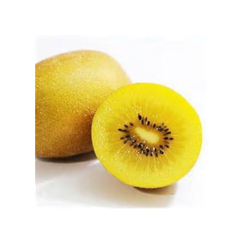 Golden Kiwi Fruit Seeds for Planting [neera-v5-6e0cc538b70219307e59]