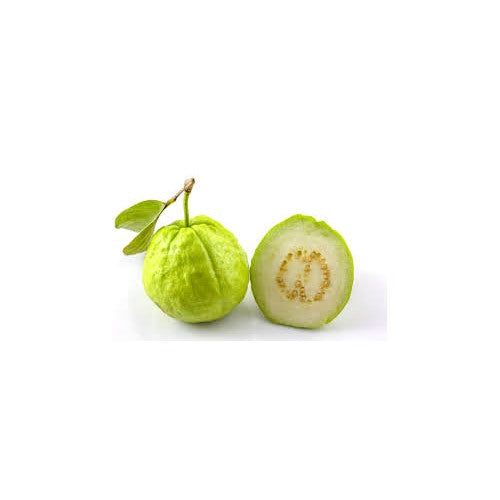 Giant Vietnamese Guava Fruit Seeds for Planting [neera-v5-6f1558741f31ec7bd912]