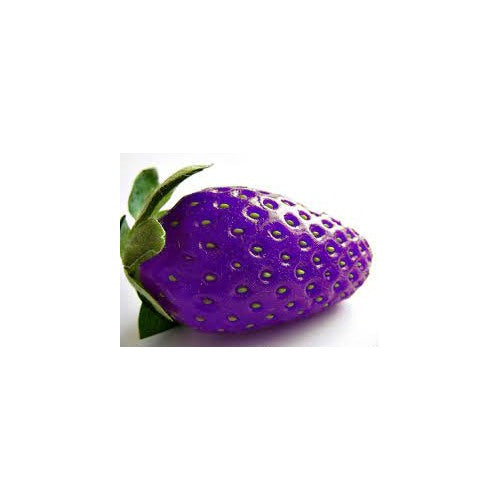 Purple Strawberry Fruit Seeds for Planting [neera-v5-6f924a5bafe298619162]