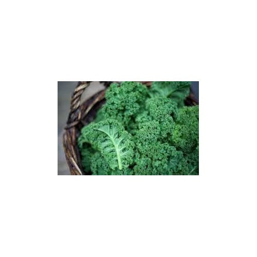 Kale Curled Seeds for Planting [neera-v5-6fc7e5e495895320b5b1]