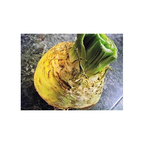 Celery (Apium graveolens) Seeds for Planting [neera-v5-6fe1ac37693bbcb2c982]