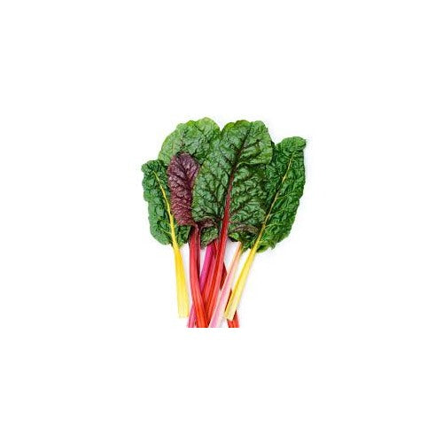 Rainbow Chard Seeds for Planting [neera-v5-704794f4c04583a02370]