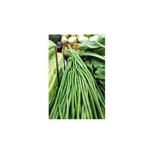 Yardlong Bean Seeds for Planting [neera-v5-704c09ed6650ef21cd32]