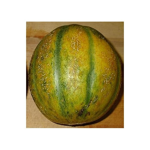 Yellow Cantaloupe Fruit Seeds [neera-v5-705f8b1d8975593fc820]