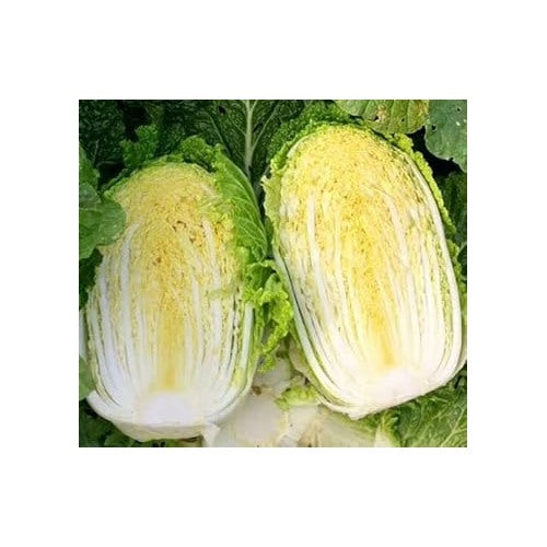 Cabbage Seeds for Planting [neera-v5-70cf6048d1548d3db6c0]